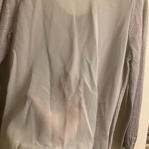 Sheer Silver Long Sleeve Top